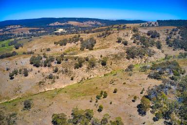 Farm For Sale - VIC - Stuart Mill - 3477 - Back Hills - A Property to Work, Live and Play - 383 Acres  (Image 2)