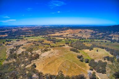 Farm For Sale - VIC - Stuart Mill - 3477 - Back Hills - A Property to Work, Live and Play - 383 Acres  (Image 2)