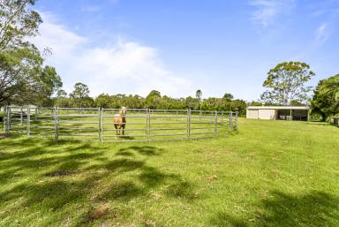 Farm Sold - QLD - Beelbi Creek - 4659 - Luxurious Rural Estate with Equestrian Paradise  (Image 2)