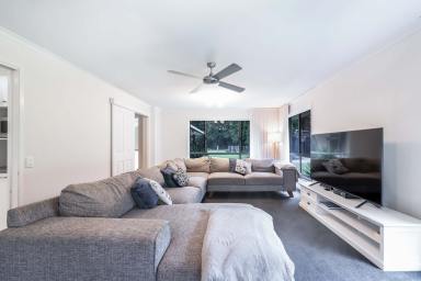 Farm Sold - QLD - Cooroy - 4563 - Spacious Family Home On Private 2.6 Acres  (Image 2)