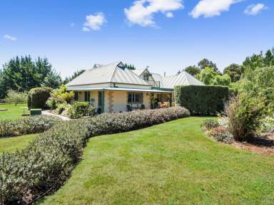 Farm For Sale - TAS - Longford - 7301 - Longford Park Boarding Kennels & Cattery  (Image 2)