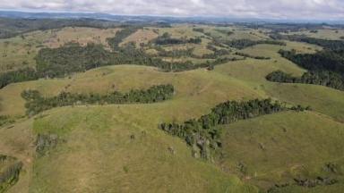 Farm For Sale - QLD - Tarzali - 4885 - CATTLE FATTENING OR BREEDING WITH ROOM TO BUILD  (Image 2)