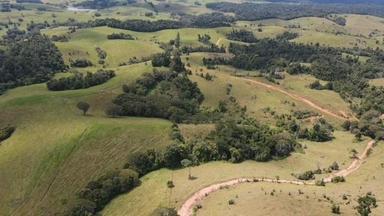 407 Hosie Road, Tarzali QLD 4885