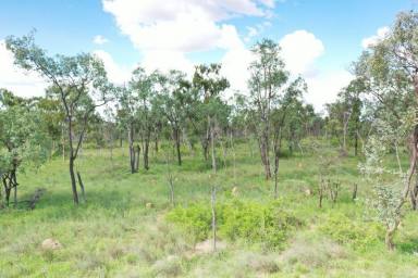 Farm Sold - QLD - Black Jack - 4820 - Bare blocks- two adjoining freehold titles  (Image 2)
