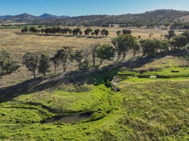 Farm Sold - NSW - Willow Tree - 2339 - Mixed Farming Opportunity  (Image 2)