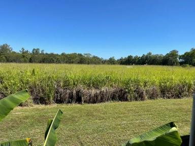 Farm For Sale - QLD - Cardwell - 4849 - LIFESTYLE ACREAGE IN TROPICAL FAR NORTH QUEENSLAND  (Image 2)