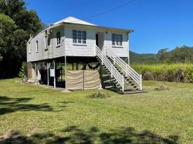 Farm For Sale - QLD - Cardwell - 4849 - LIFESTYLE ACREAGE IN TROPICAL FAR NORTH QUEENSLAND  (Image 2)