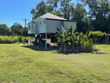 Dallachy Creek, Cardwell QLD 4849