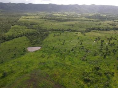 Farm For Sale - QLD - Lakeland - 4871 - STARTER BLOCK OR ADDITIONAL AREA  (Image 2)