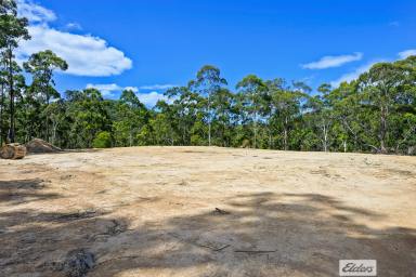 Farm For Sale - TAS - Somerset - 7322 - Private Oasis with Direct Access To The Cam River  (Image 2)