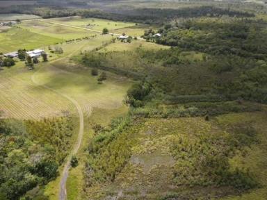 Farm For Sale - QLD - Innisfail - 4860 - GRAZING LAND WITH DEVELOPMENT POTENTIAL  (Image 2)