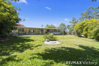 Farm Sold - QLD - Wamuran - 4512 - Motivated Sellers  (Image 2)