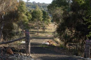 Farm Sold - TAS - Swansea - 7190 - Peaceful and tucked away  (Image 2)