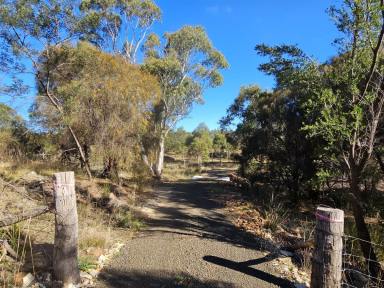 Farm For Sale - TAS - Swansea - 7190 - Peaceful and tucked away  (Image 2)