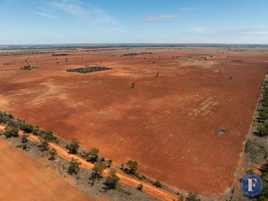 Farm For Sale - NSW - Tottenham - 2873 - Prime Cropping Enterprise. Ready for 2024 Planting!  (Image 2)