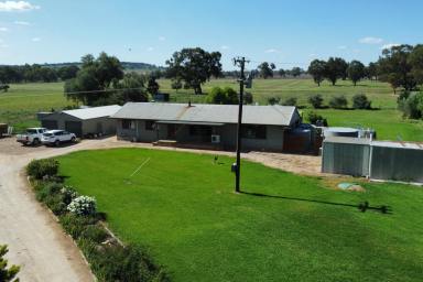 Farm For Sale - NSW - Canowindra - 2804 - Experience tranquillity at this 42 acre retreat!  (Image 2)