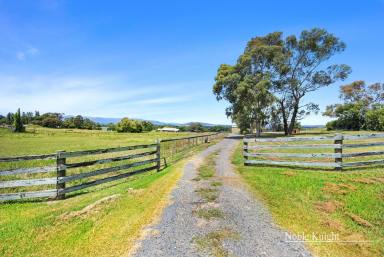 Farm For Sale - VIC - Yarra Glen - 3775 - Welcome to Token Park on 5 acres (approx.)!  (Image 2)