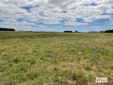 Farm For Sale - TAS - Forest - 7330 - GREAT POSITION!  (Image 2)