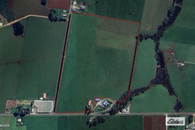 Farm For Sale - TAS - Forest - 7330 - GREAT POSITION!  (Image 2)