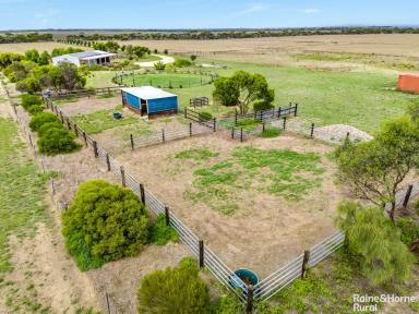 Farm Sold - SA - Strathalbyn - 5255 - An off-grid oasis for the ponies, crops & glampers on 82.5 flexible acres.  (Image 2)