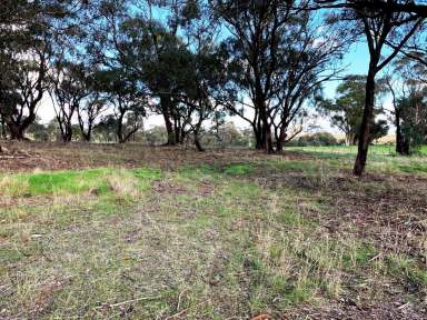 Farm For Sale - VIC - Bonn - 3561 - 2.1 ACRES OF FARM ZONE LAND WITH POWER PIT- INCLUDES A NEW 2 BEDROOM 1 BATHROOM KITCHEN POD  (Image 2)