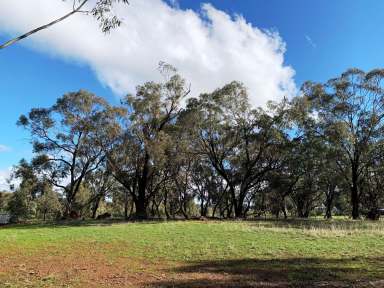 Farm For Sale - VIC - Bonn - 3561 - 2.1 ACRES OF FARM ZONE LAND WITH POWER PIT- INCLUDES A NEW 2 BEDROOM 1 BATHROOM KITCHEN POD  (Image 2)