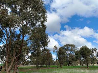 Farm For Sale - VIC - Bonn - 3561 - 4.35 ACRES OF FARM ZONE LAND-VACANT RESIDENTIAL RURAL LIFESTYLE ON 3 STREET FRONTAGES  (Image 2)