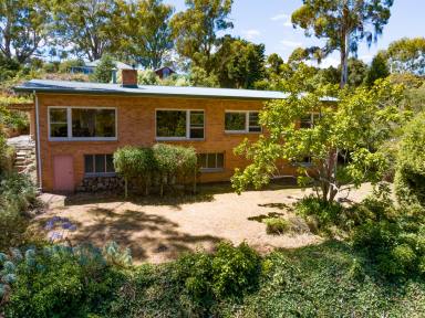 Farm Sold - TAS - Dilston - 7252 - Timeless Elegance with Tamar River Views  (Image 2)
