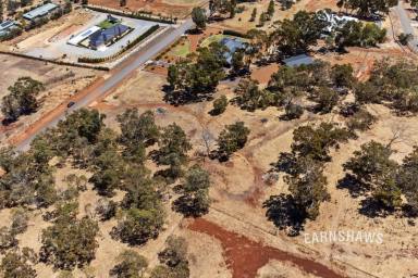 Farm For Sale - WA - Jane Brook - 6056 - Here's To Your Future Masterpiece  (Image 2)