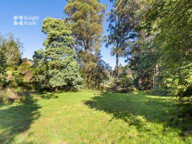 Farm Sold - TAS - Oyster Cove - 7150 - Gorgeous rural property within 30 minute drive to Hobart  (Image 2)