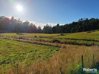 Farm Sold - TAS - Lower Wilmot - 7310 - Shed + One Bedroom Home To Renovate on 26 Acres Approx  (Image 2)