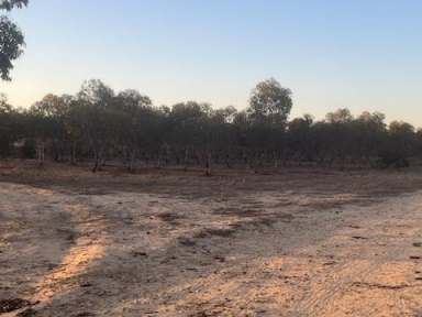 Farm Sold - WA - Kulja - 6470 - Tree Farm Block
974  acres  (Image 2)