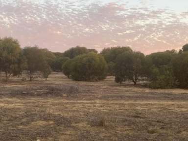 Farm Sold - WA - Kulja - 6470 - Tree Farm Block
974  acres  (Image 2)