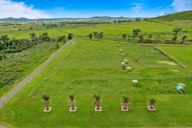 Farm For Sale - QLD - Westbrook - 4350 - Location, Income and Water!  (Image 2)