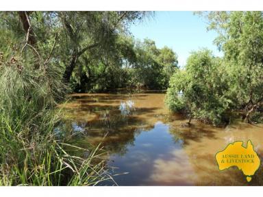 Farm For Sale - QLD - Maidenwell - 4615 - Gateway to the Bunyas  (Image 2)