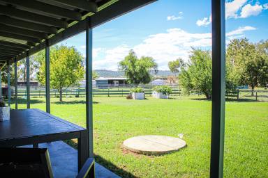 Farm Auction - NSW - Tamworth - 2340 - An exceptional lifestyle opportunity awaits.  (Image 2)