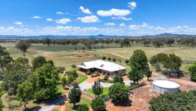 Farm For Sale - NSW - Tamworth - 2340 - Retirement Dictates  (Image 2)