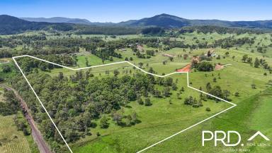 Farm For Sale - NSW - Kyogle - 2474 - 50+ Acre Block on Edge of Town  (Image 2)