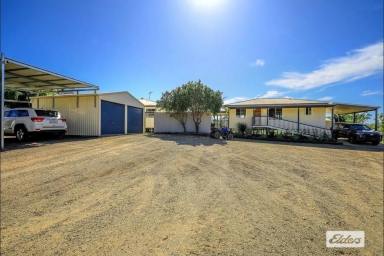 Farm For Sale - QLD - South Kolan - 4670 - STUNNING 42 ACRES WITH DUAL LIVING AND SHEDS!  (Image 2)
