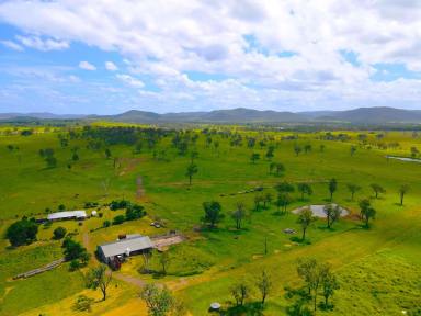 Farm For Sale - QLD - Biggenden - 4621 - "ROSEMOUNT" Quality 372 Acre Grazing Property with Cultivation  (Image 2)