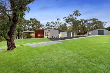 Farm For Sale - VIC - Langwarrin South - 3911 - High-End Entertainer With Enormous Workshop & Studio  (Image 2)