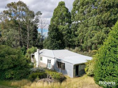 Farm For Sale - TAS - Fitzgerald - 7140 - Natural Beauty in a Peaceful Setting  (Image 2)