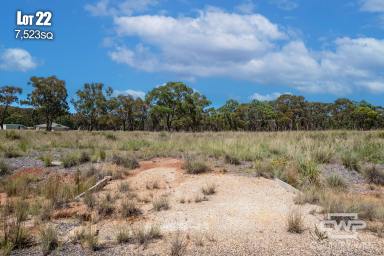 Farm For Sale - NSW - Emmaville - 2371 - 7525m2 Block, Ready For Your Dream Home  (Image 2)