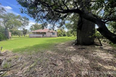 Farm For Sale - QLD - Bell - 4408 - "BELLARINYA" THE PERFECT HIDDEN OASIS  (Image 2)