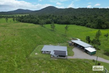 Farm For Sale - QLD - Mena Creek - 4871 - 53 Acres of prime cattle country with 2 water licences.  (Image 2)