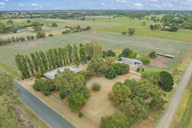 Farm Sold - VIC - Echuca - 3564 - Looking For Small Acreage?  (Image 2)