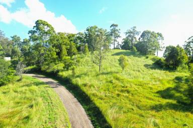 Farm For Sale - NSW - Mount Burrell - 2484 - NATURAL BEAUTY ON THE TWEED  (Image 2)