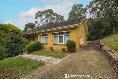 Farm Sold - VIC - Healesville - 3777 - Incredible Opportunity!  (Image 2)
