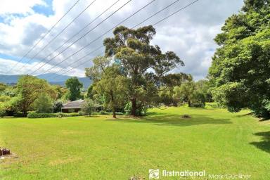 Farm Sold - VIC - Healesville - 3777 - Incredible Opportunity!  (Image 2)