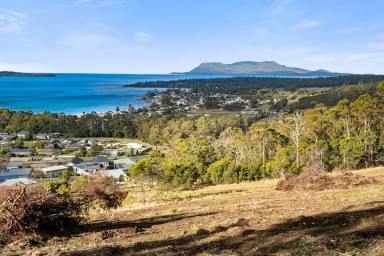 Farm For Sale - TAS - Orford - 7190 - A lot of room, with a view  (Image 2)